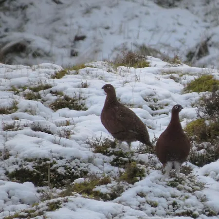 5 Swallowsholm 리치먼드