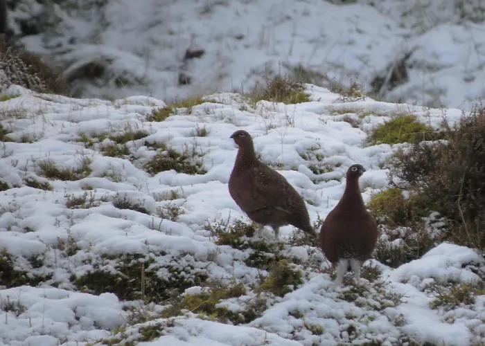 5 Swallowsholm Richmond (North Yorkshire)